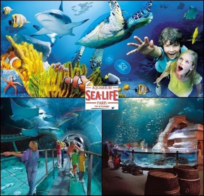 שסי Disneyland Dream 5 - Charmante Maison 10 Pax מראה חיצוני תמונה